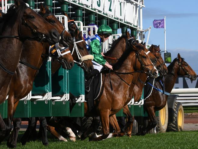 Grand Promenade jumps out of the barriers before winning the Bart Cummings in 2021. Picture: Vince Caligiuri/Getty Images