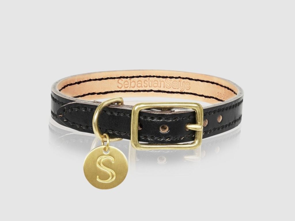 We love the look of this leather dog collar.