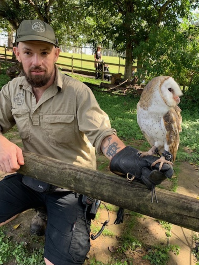 The owl at Lone Pine Koala Sanctuary. Picture: News Corp