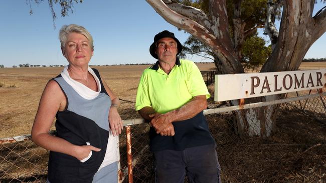 Angela Fairhall and husband Peter Repacholi on their 4000ha farm Palomar in the WA wheatbelt. Picture: Colin Murty 