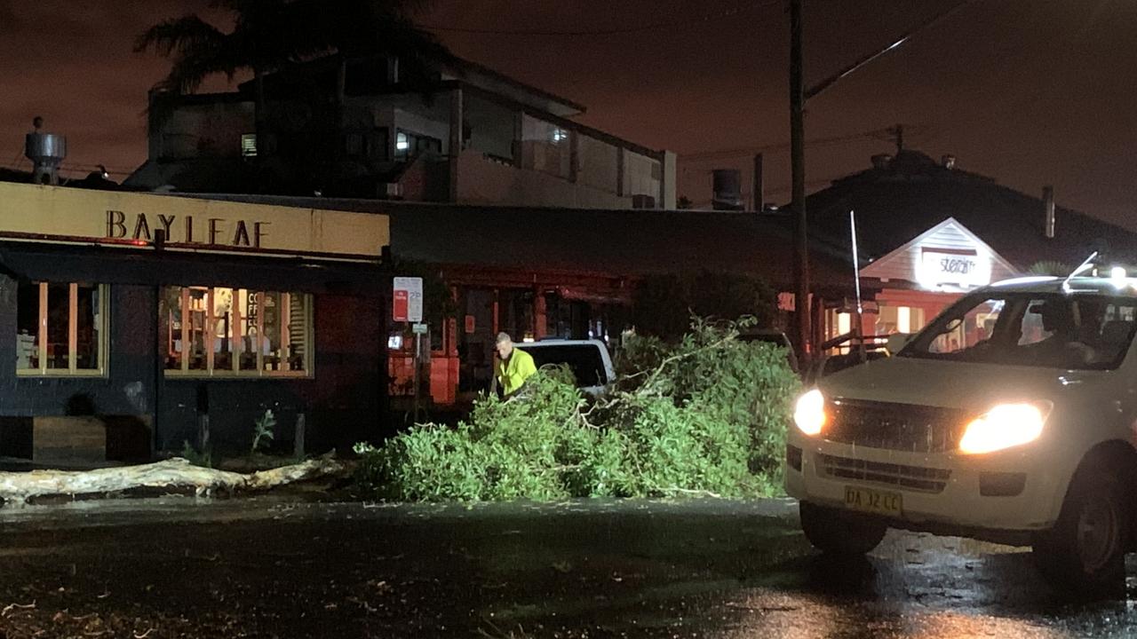 A tree is blown over on Marvell Street in a freak storm that smashed the North Coast.
