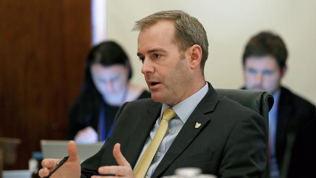 Health Minister Michael Ferguson during the budget estimates hearing. Picture: SAM ROSEWARNE