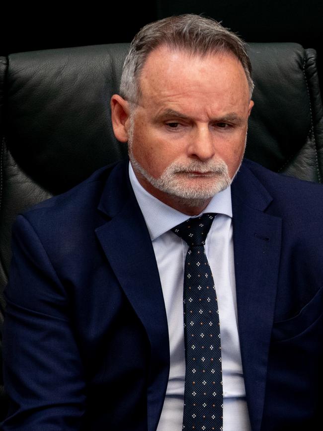Independent member for Franklin David O'Byrne in Parliament. Picture: Linda Higginson