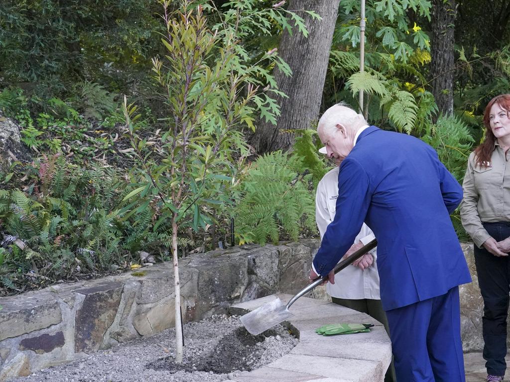 King Charles III plants a tree during a visit to the Australian National Botanic Gardens. Picture: Getty