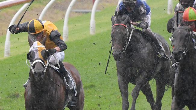 Star Of The Seas wins the Maurice McCarten Stakes earlier this year.