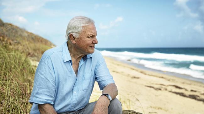 Sir David Attenborough hosts the TV series Blue Planet II. Supplied by Channel 9.