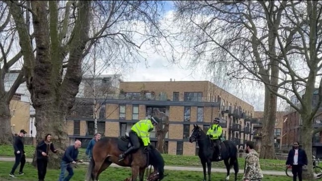 An out-of-control dog savaged two police horses in a five-minute park attack caught on video.