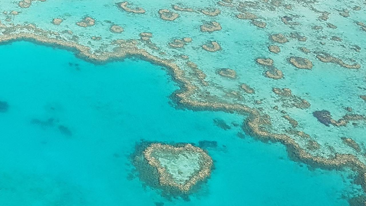 The study shows large sections of coral have been lost.