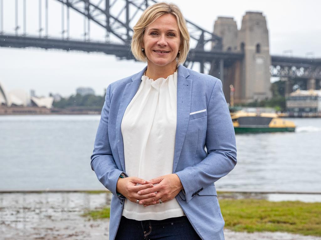 Liberals take on teals over climate