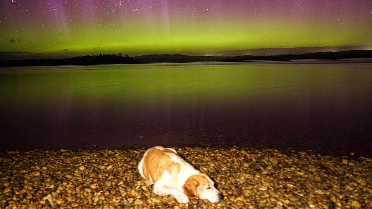 Aurora at Baker's Beach with Stormy the dog. Photo: Jai Moyle.