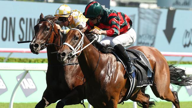 Lady Shenandoah will line up in the Coolmore Classic. Picture: Jeremy Ng-Getty Images.