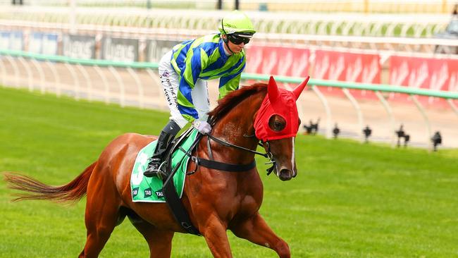 Kuroyanagi will be chasing a black-type win during the Adelaide carnival. Picture: Morgan Hancock/Racing Photos via Getty Images