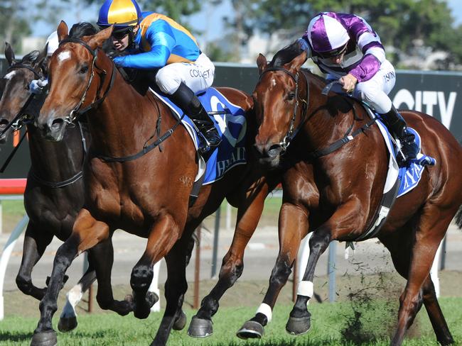 Imposing Lass (middle) proves too strong for Self Esteem (right) in the Gold Coast Bracelet. Picture: Grant Peters, Trackside Photography