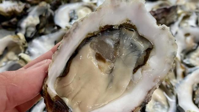 An example of the oysters ordered by Get Hooked Fresh Seafoods.