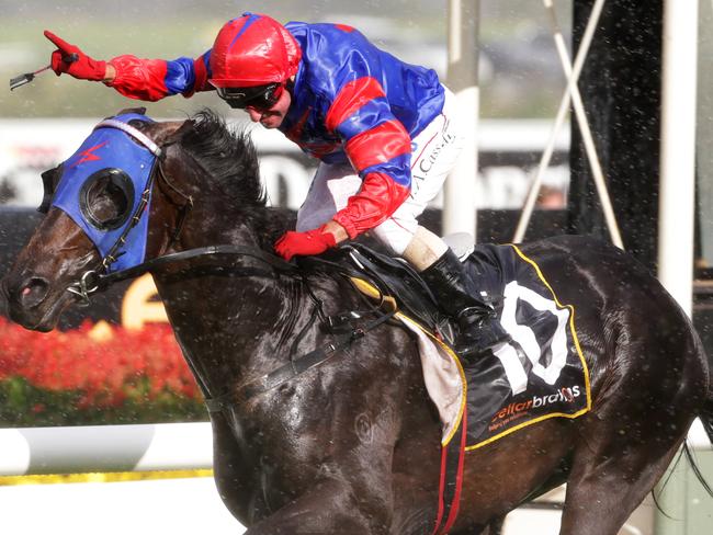 Pierro in action in Sydney last year.