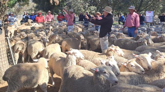 NSW wool volumes are forecast to rise but Victoria’s numbers are slipping.