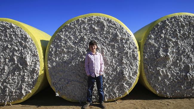 Natural cotton is a growing industry in Australia. Picture: Dylan Robinson