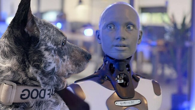 Ellie’s version of Sky News’ AI bot Interview. Picture: Supplied