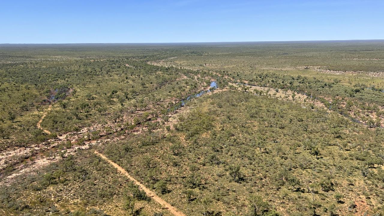 Americans move to sell $40m NT cattle station