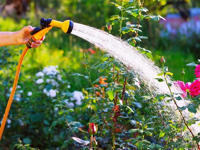 Ensure your garden is regularly having a good drink.