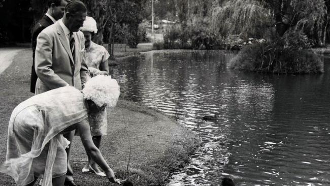 The Queen Mother feeding black swans. Photo: Supplied