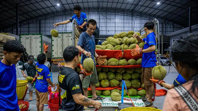 Amid the US tariff hike, Thailand is ramping up durian exports to China, its largest market. Picture: Getty Images