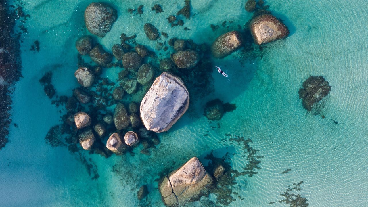 <h2>4. Valley of the Giants and Greens Pool, WA</h2><p>Green is the theme when you join a tour in search of some of Southern WA&rsquo;s most extraordinary views. At the Valley of the Giants Treetop Walk in Walpole-Nornalup National Park, sightseers get a bird&rsquo;s eye view of the thick forest canopy from a height of 40m. And down at sea level, the captivating Elephant Rocks and striking Greens Pool practically beg you to take a dip &ndash; or at least a photo. The tour is among the excursions on offer when <a href="https://go.skimresources.com?id=145349X1636243&amp;xs=1&amp;url=https%3A%2F%2Fwww.princess.com%2F" target="_blank" rel="noopener">Princess Cruises</a>' Coral Princess visits Albany next month as part of a 28-day Round Australia cruise.&nbsp;</p>