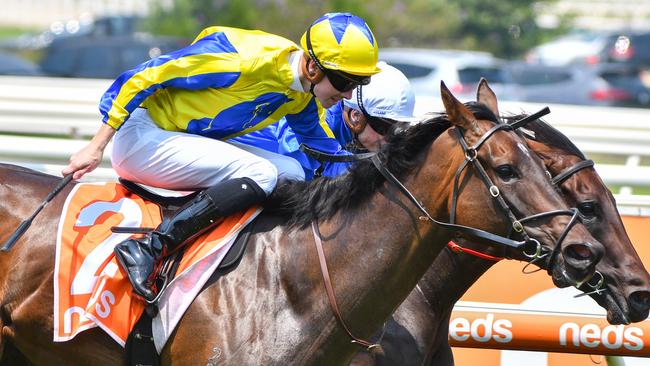 How Womantic can get punters off to a winning start at Caulfield. Picture: AAP