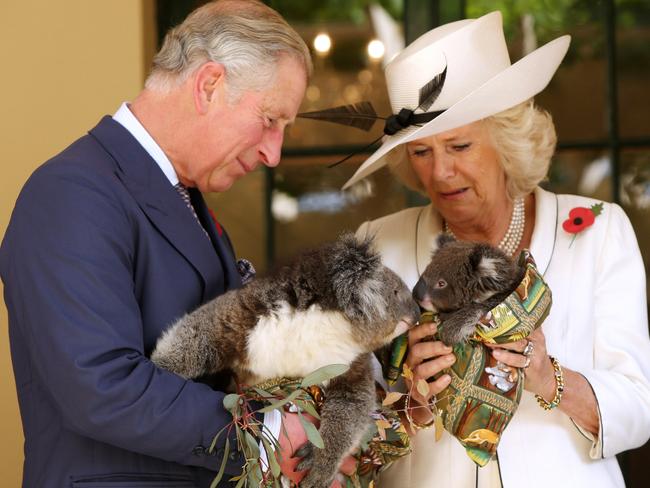 Charles and Camilla met koalas Kao (left) and Matilda (right). Kao was reportedly not impressed. Picture: AAP