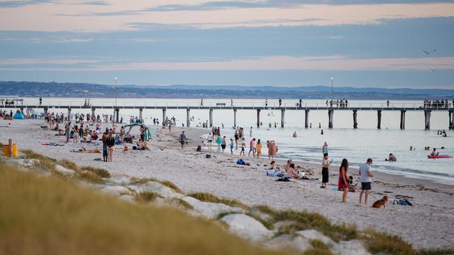 More shark sightings are reported at Grange than any other SA beach. Picture Matt Turner.