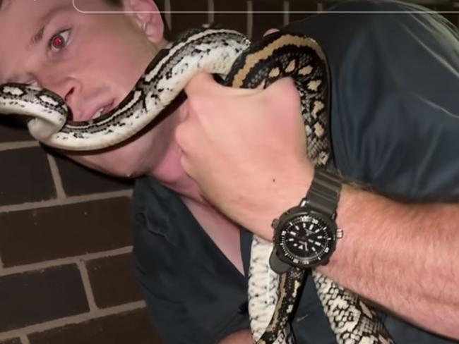 Robert Irwin was forced to contend with an unwanted houseguest earlier this week. Picture: TikTok