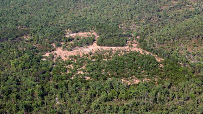 Jabiluka revegetation in November 2016. Picture: ERA