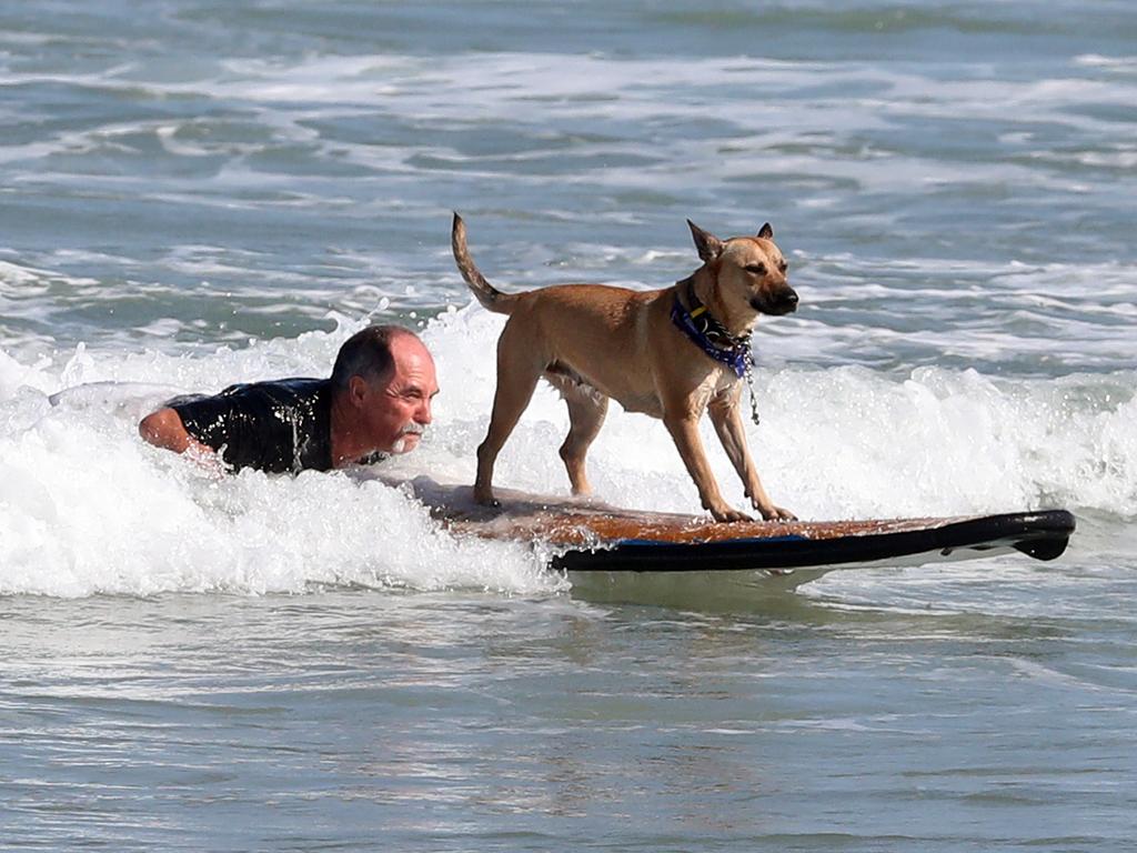 New Years Eve in 2016. Brian Reichelt and Zoe The Wonder dog at the Spit. Picture: Richard Gosling