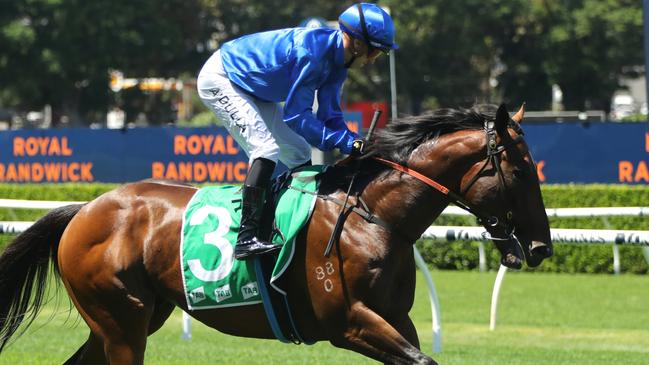 Corniche is expected to run well at Rosehill.