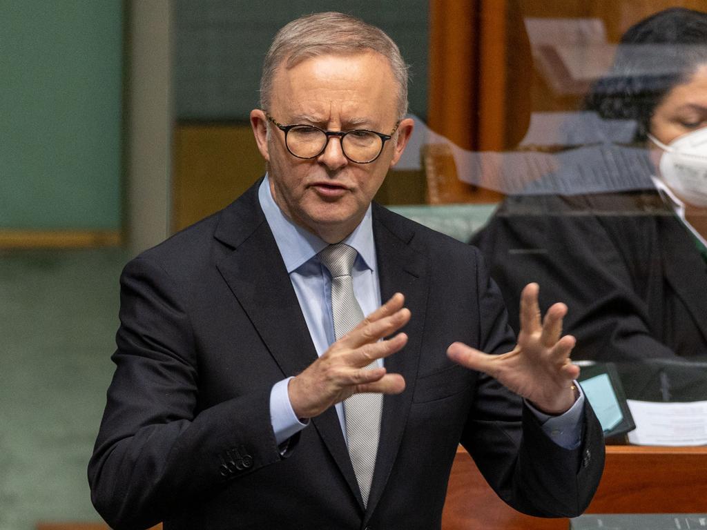 Voice control: Albanese at odds with experts