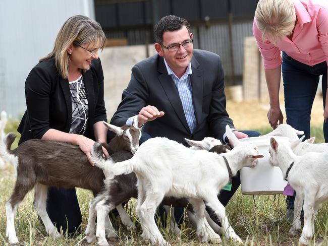 Daniel Andrews, Jacinta Allan and Maree Edwards. Picture: Mike Keating