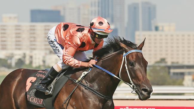 MELBOURNE, AUSTRALIA - FEBRUARY 16:  Jockey Luke Nolen riding Black Caviar wins race 7 the Black Caviar Lightning Stakes during Lightning Stakes Day at Flemington Racecourse on February 16, 2013 in Melbourne, Australia.  (Photo by Scott Barbour/Getty Images for the VRC)