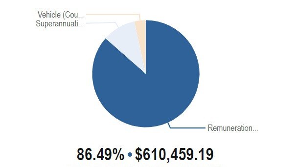 The hub includes details on remuneration and expenses.