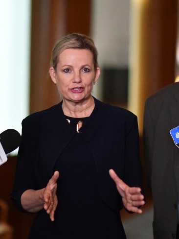 Deputy Liberal Party leader Sussan Ley took aim at Anthony Albanese for departing amid an energy crisis at home. Picture: Sam Mooy/Getty Images