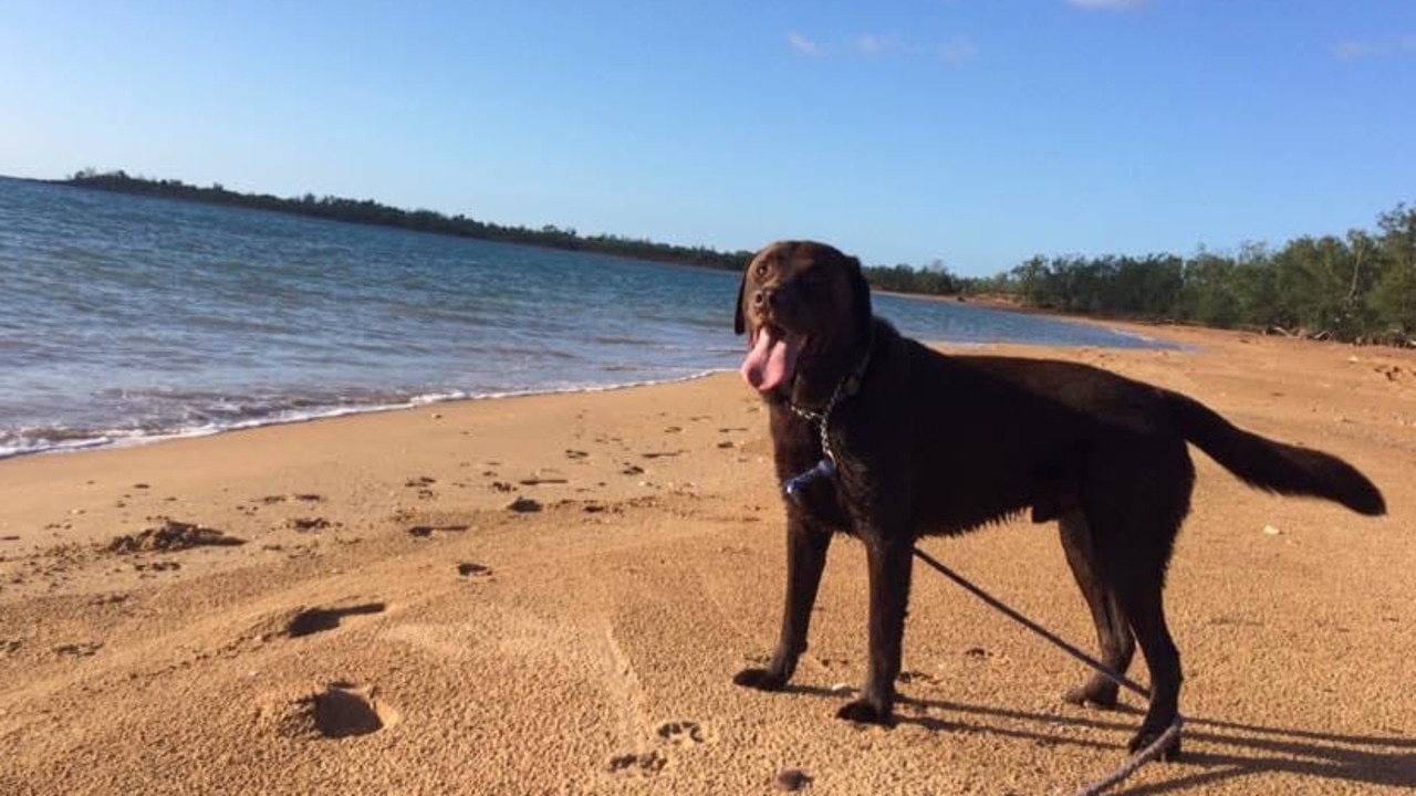 Natasha Francis dedicates communal tennis ball boxes at Bushland Beach