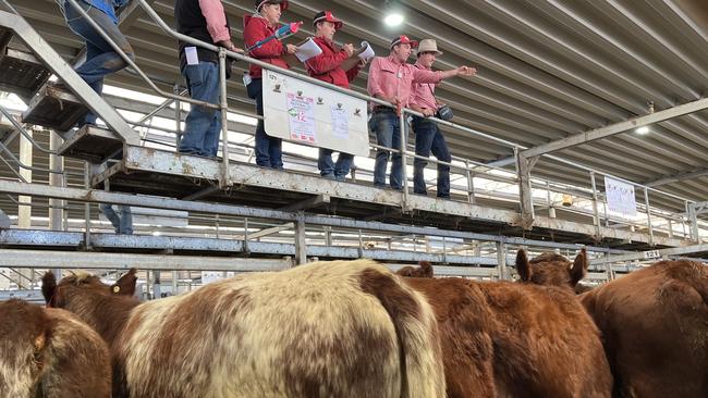 This pen of Shorthorn heifers, zero and two tooth and weighing 446kg made $1500 for vendors Woodpark at Jerilderie, with the females selling for 336c/kg liveweight at the Wodonga store cattle sale.