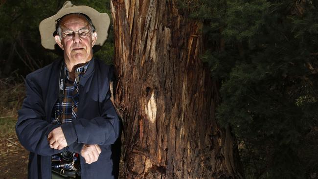 Thylacine author and "hunter" Col Bailey, who is convinced the Tassie tiger is not extinct because he believes he has had two sightings over the years. Picture: Kim Eiszele