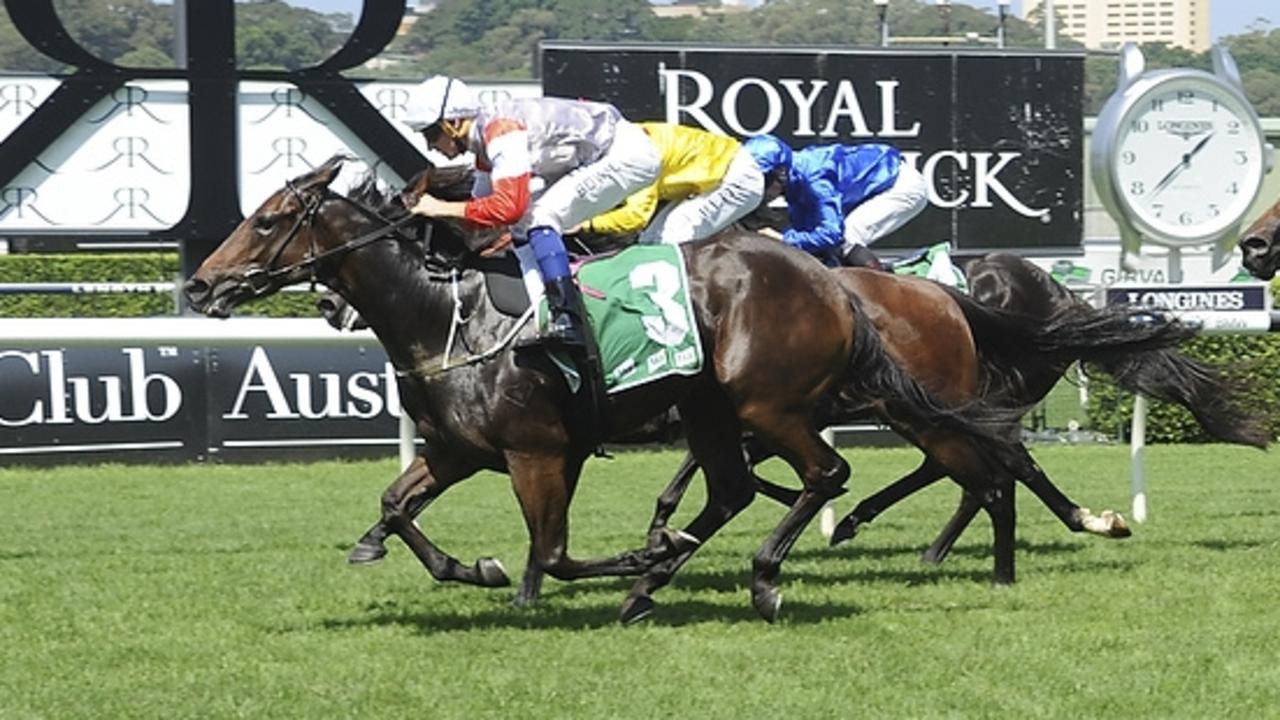 Kind Heart was a winner at Randwick and Warwick Farm for Jim Maxwell. Picture: Bradley Photos