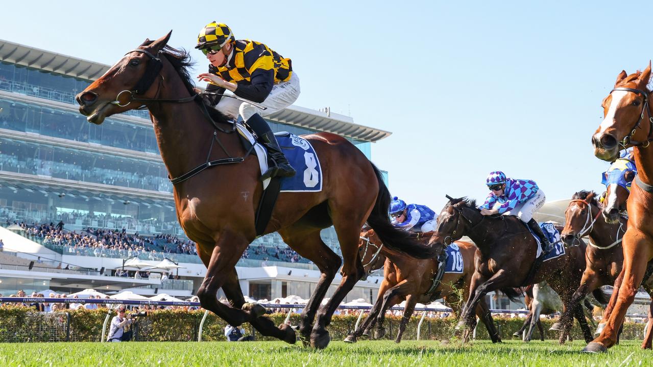 Early Oil: Tips and analysis for 2022 Caulfield Cup Day | Herald Sun