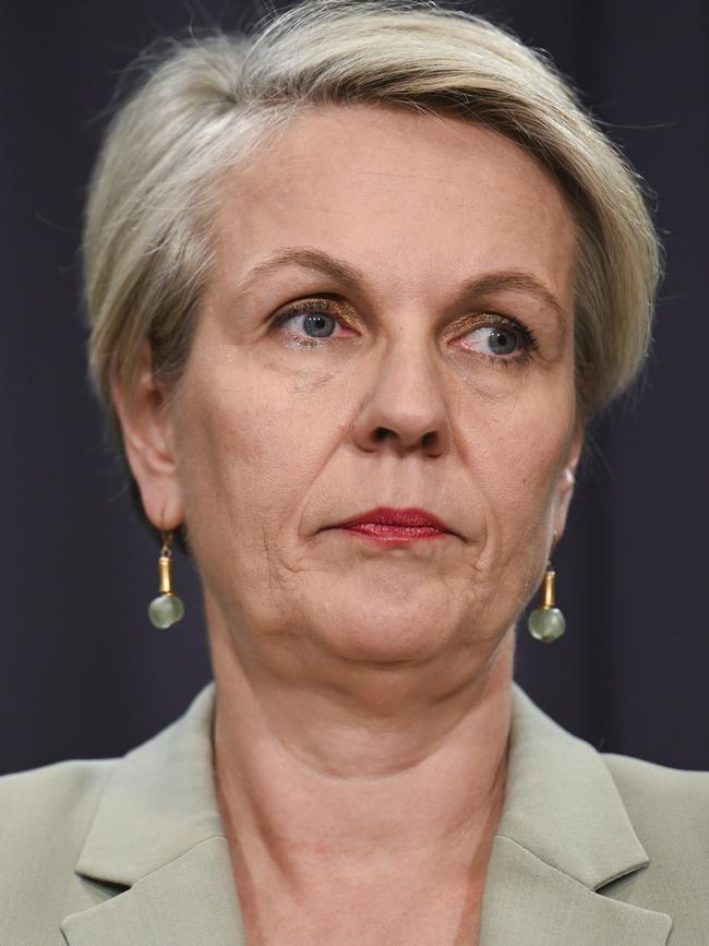 Environment Minister Tanya Plibersek. Picture: NewsWire / Martin Ollman