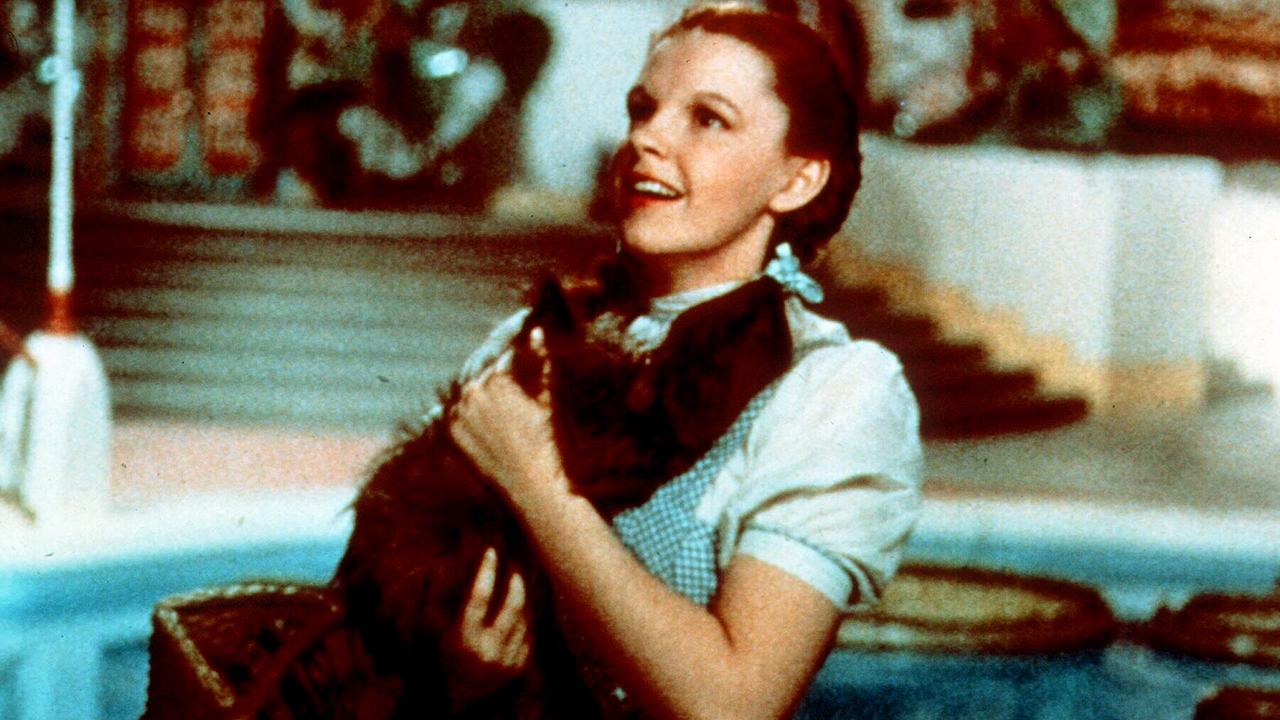 Actor Judy Garland as Dorothy with Toto in scene from film ''The Wizard of Oz''. /Films/Titles/Wizard/of/Oz