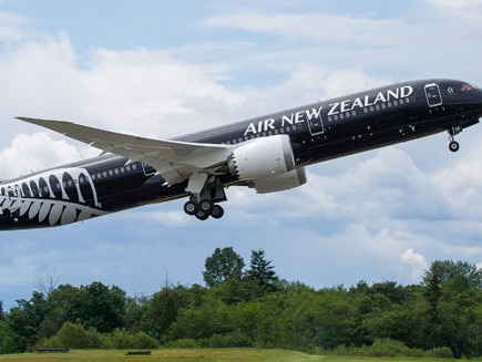 A supplied picture of Air New Zealand's Boeing 787-9 Dreamliner.