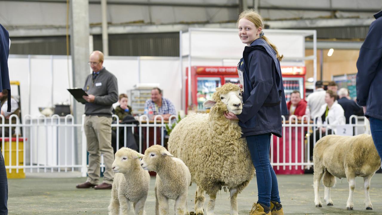 Action from the Royal Melbourne Show, on Sunday, September 22. Photo: Dannika Bonser