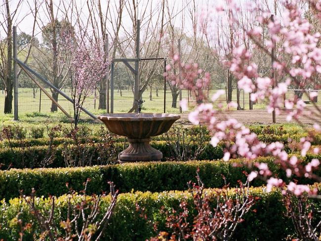 The gardens at Evanslea B &amp; B (Bed and Breakfast) in Mudgee.