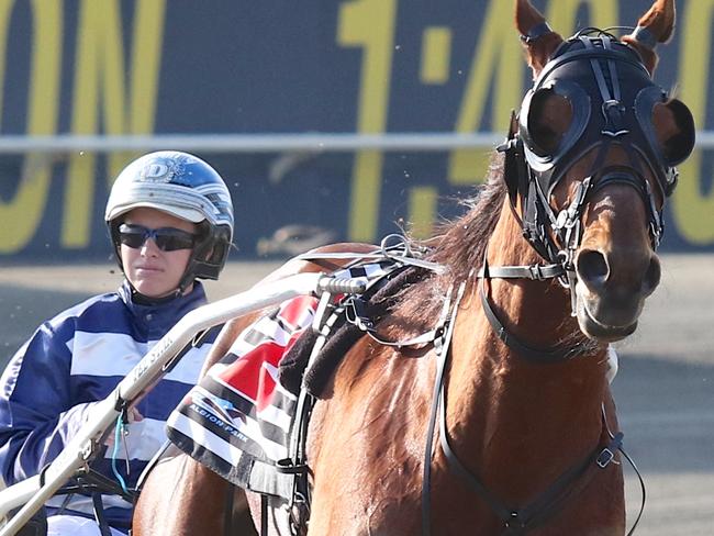 Kelli Dawson with Destreos after winning his 400th start. Picture: Dan Costello